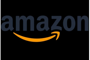 Amazon賣家發貨都選什么物流