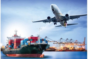 泰嘉物流八月份簽到時效第三周