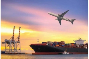 <b>泰嘉物流2024年一月份簽收時效第四周</b>