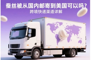 蠶絲被從國內郵寄到美國可以嗎？跨境快遞渠道詳解